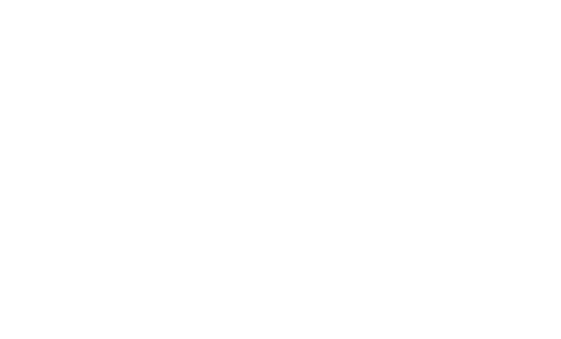 Custom Next.js SaaS Web App